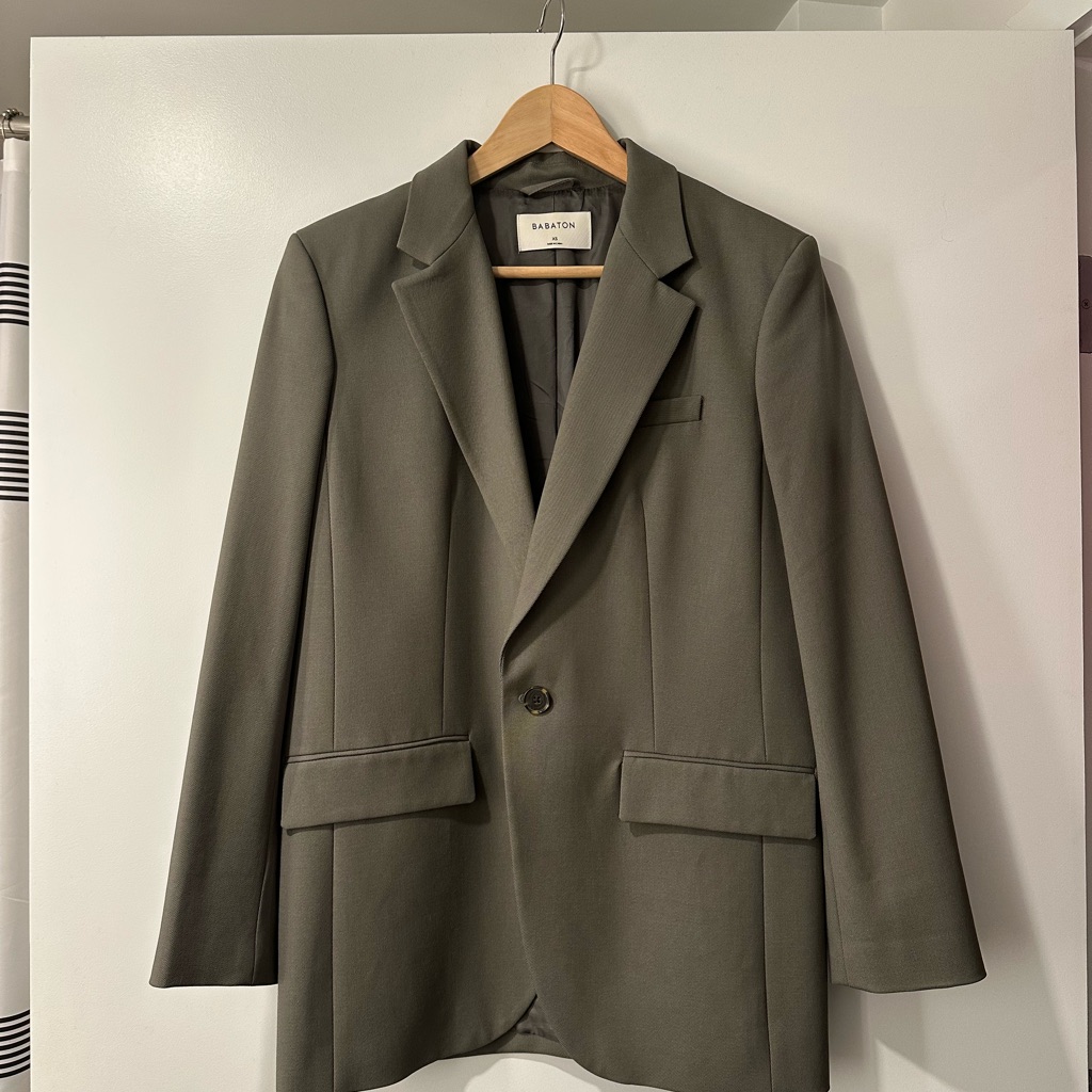 Babaton Oversized Blazer
